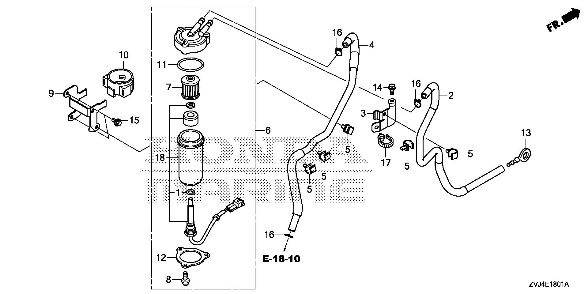 BF250 BF250D fuel strainer (1) exploded parts diagram with numbered part references