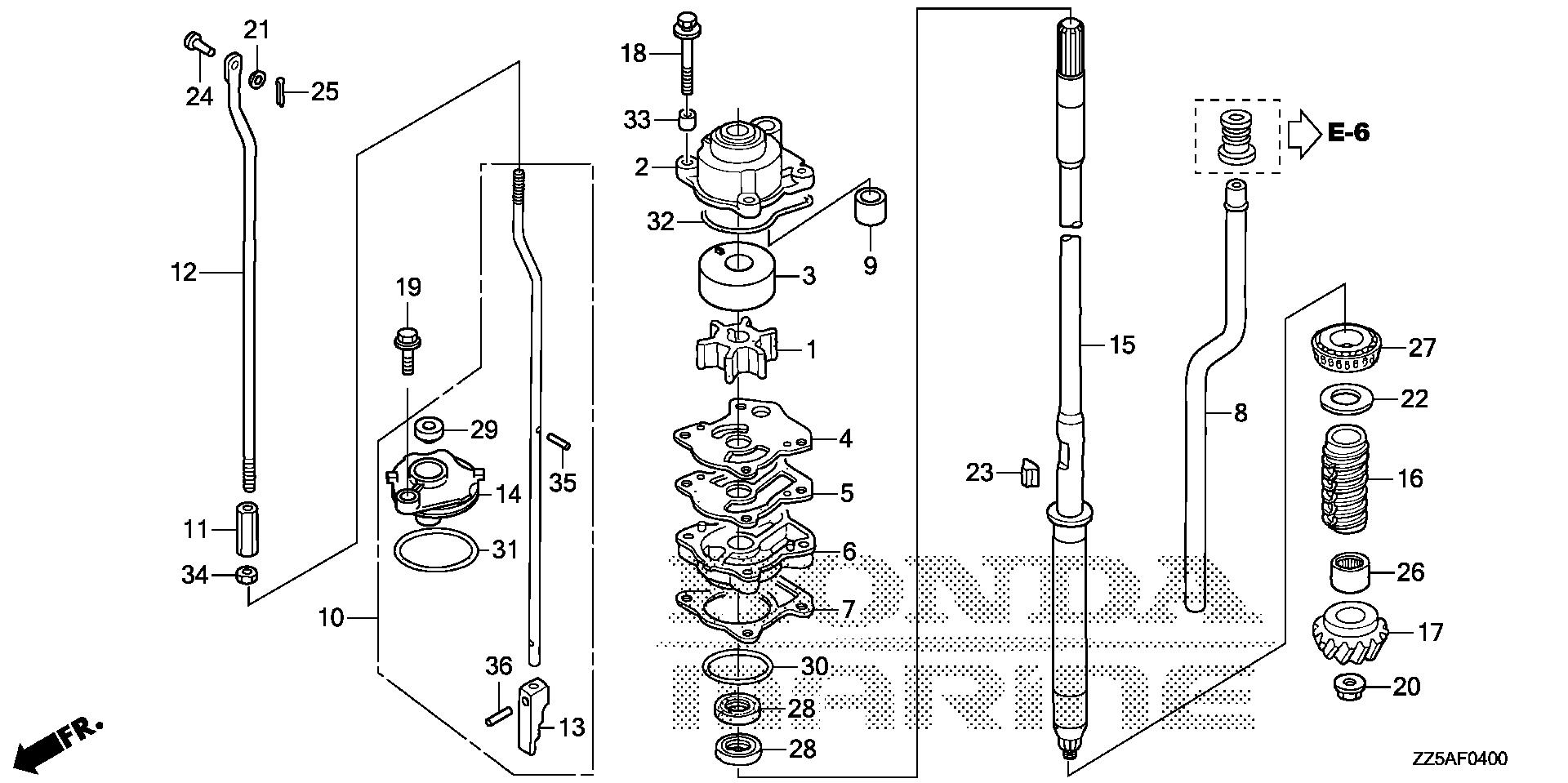 BF50 BF50DK2 water pump exploded parts diagram with numbered part references